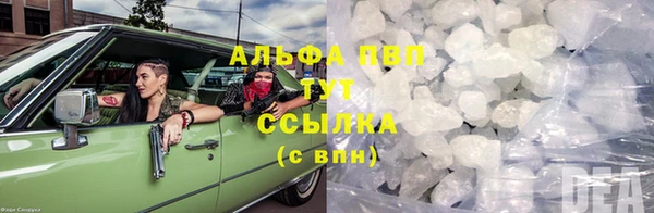 стаф Волоколамск