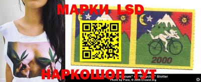 гашик Новозыбков