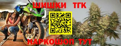гашик Новозыбков