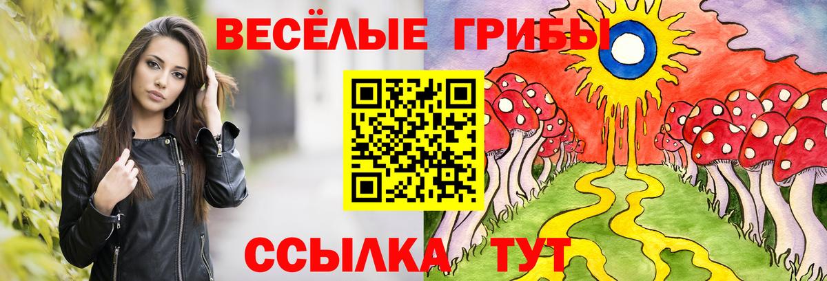 где найти наркотики  Вход с VPN  Первоуральск  Галлюциногенные грибы мицелий 